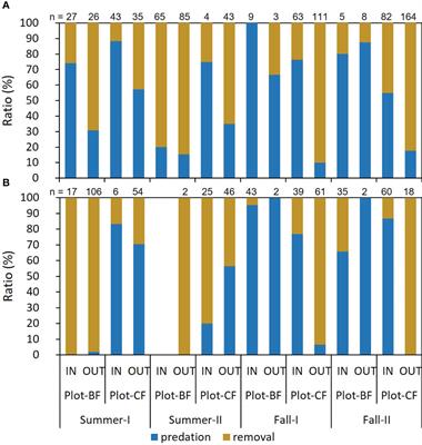 Utilization of Sasa borealis seeds by Japanese field mouse: discovery of small-seed caching